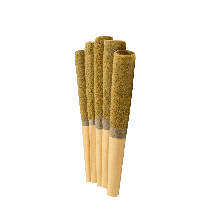 Virtue Each Infused Pre-Rolls