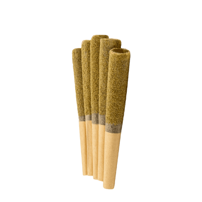 Virtue Each Infused Pre-Rolls