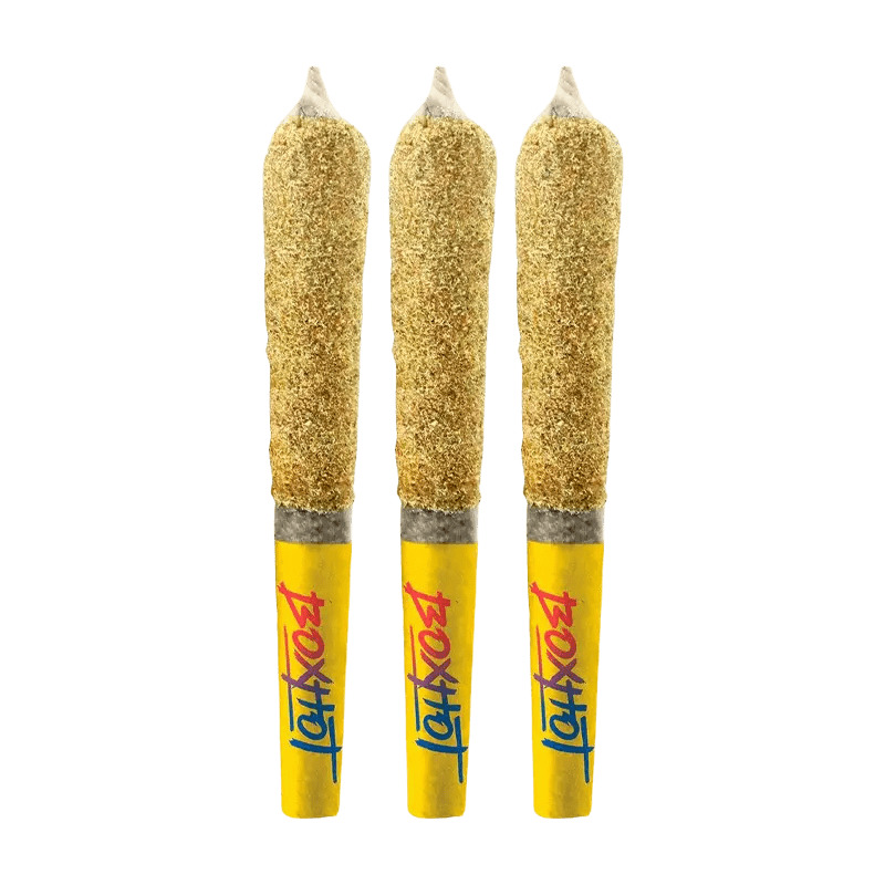 BoxHot 1.5 g Infused Pre-Rolls