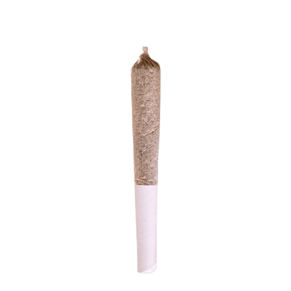 Station House 0.5 g Infused Pre-Rolls