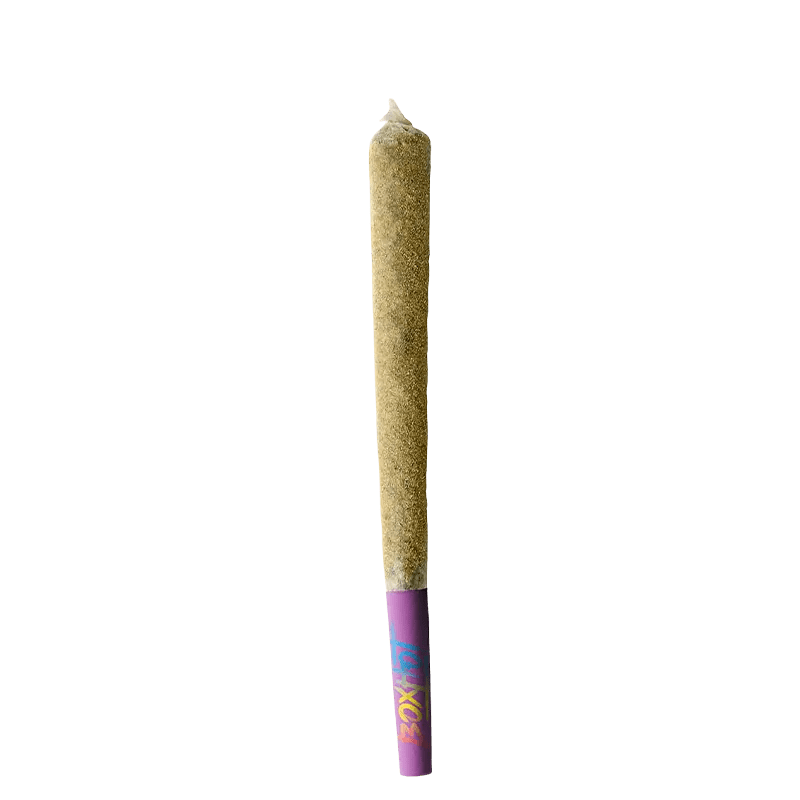 BoxHot 1.5 g Infused Pre-Rolls