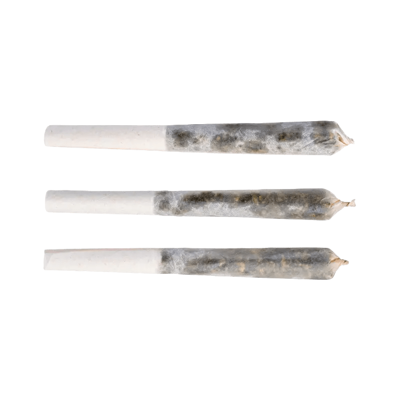 Tenzo Each Infused Pre-Rolls