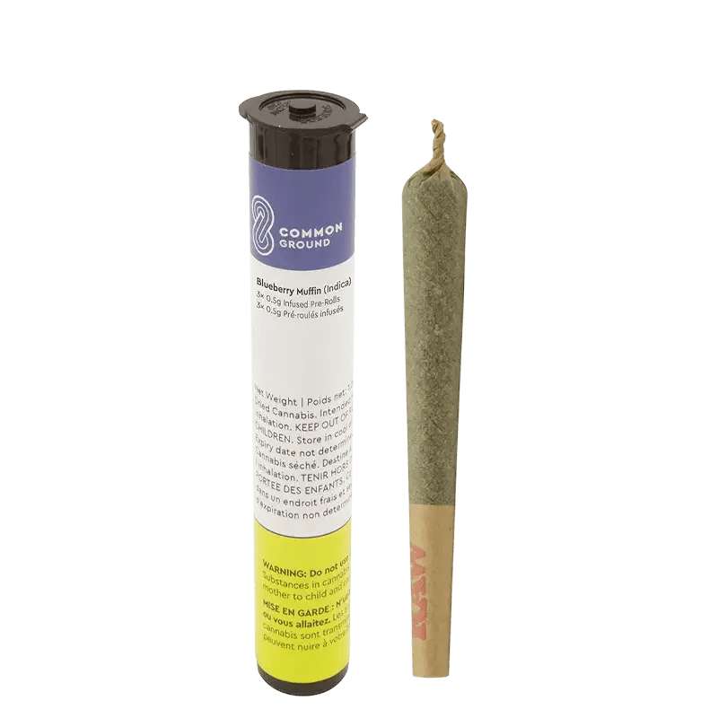 Common Ground 1.5 g Infused Pre-Rolls