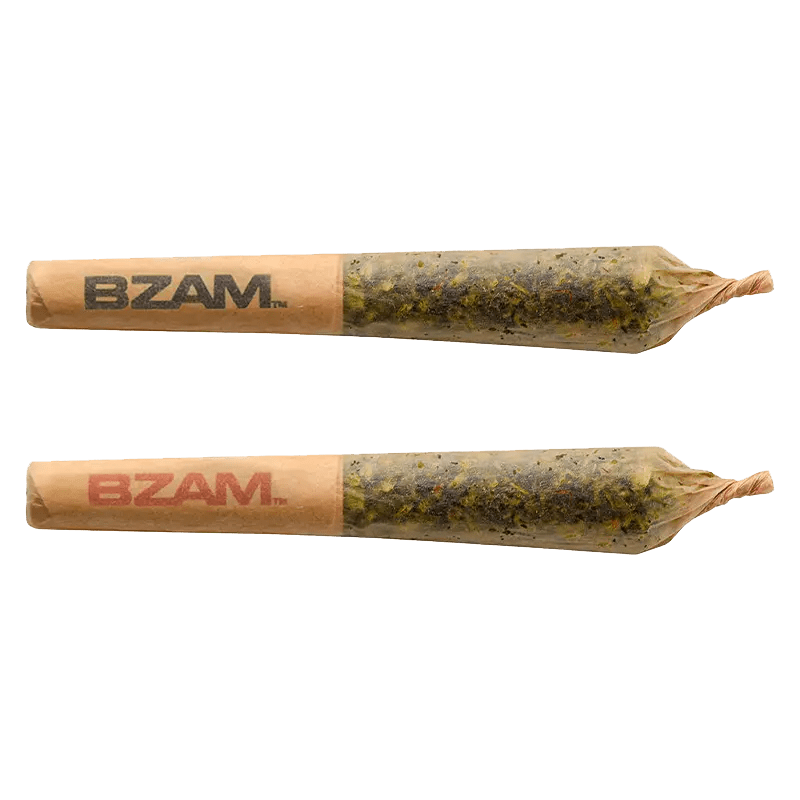 BZAM 2 g Infused Pre-Rolls