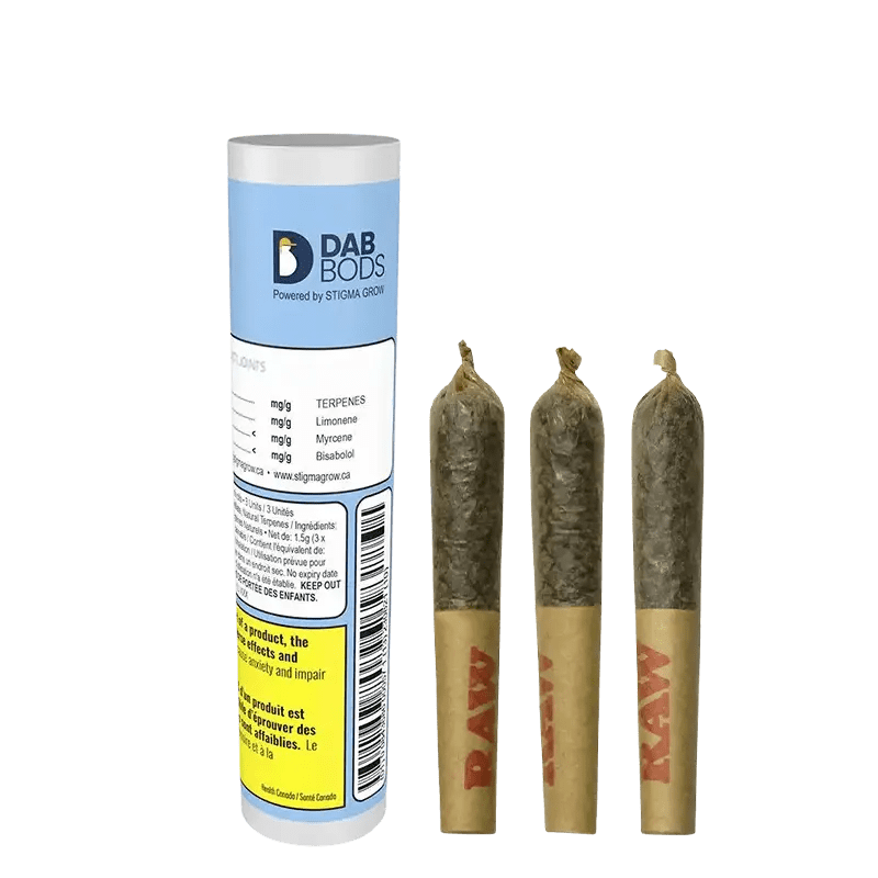 Dab Bods 1.5 g Infused Pre-Rolls