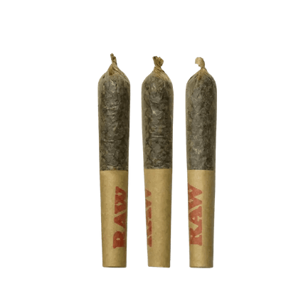 Dab Bods 1.5 g Infused Pre-Rolls