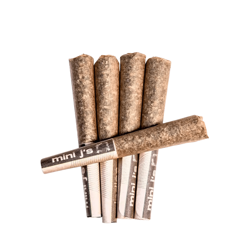 Violet Tourist 5 x 0.35 g Infused Pre-Rolls