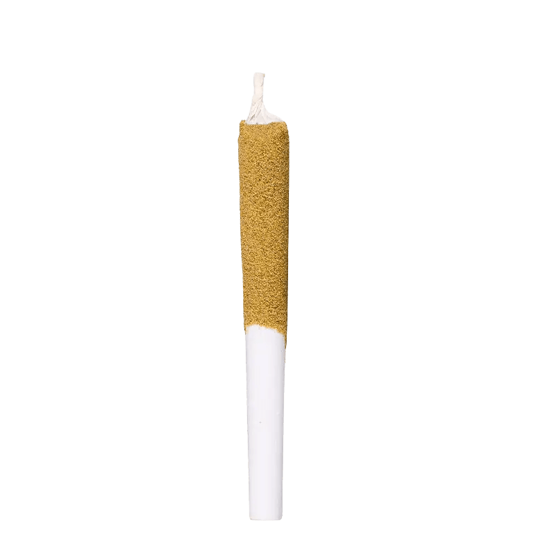 RIFF 5x0.5g Pre Roll