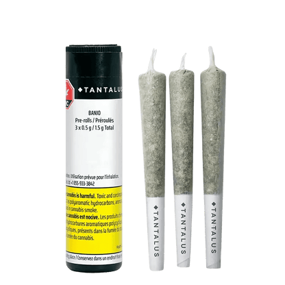 Tantalus 1.5 g Infused Pre-Rolls