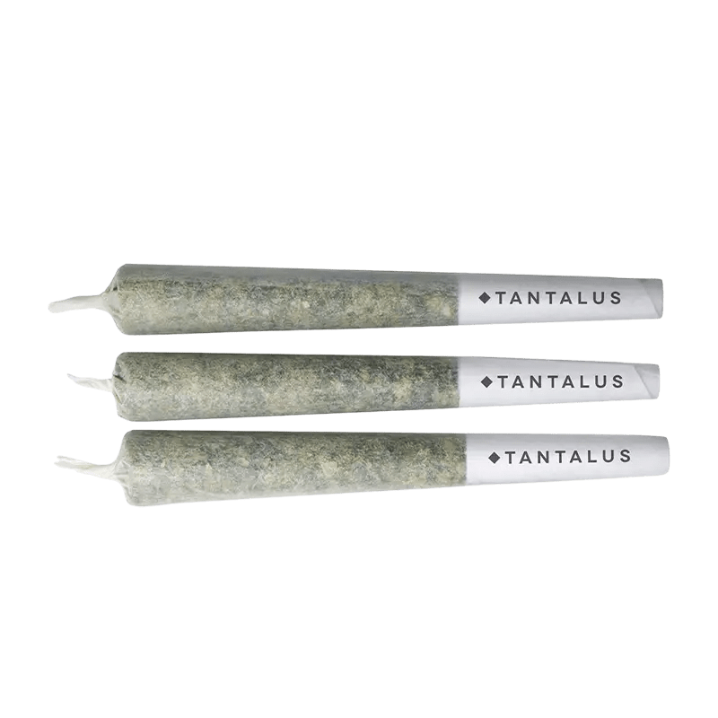 Tantalus 1.5 g Infused Pre-Rolls