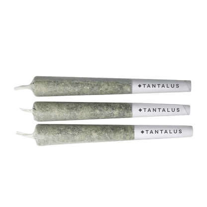 Tantalus 1.5 g Infused Pre-Rolls