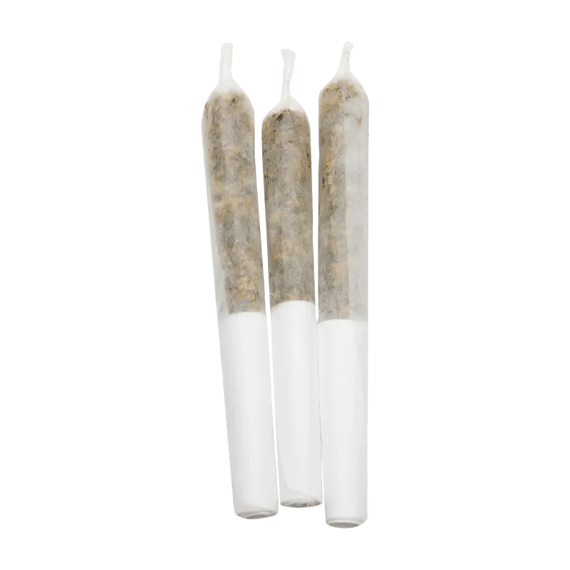 Infused by Lamplighter 1.5 g P.O.G Slammer Infused PR 3 x 0.5 g Infused Pre-Rolls