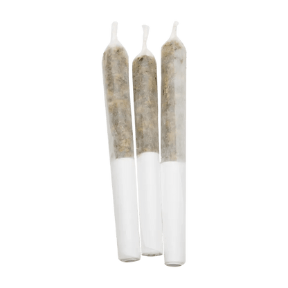 Infused by Lamplighter 1.5 g P.O.G Slammer Infused PR 3 x 0.5 g Infused Pre-Rolls