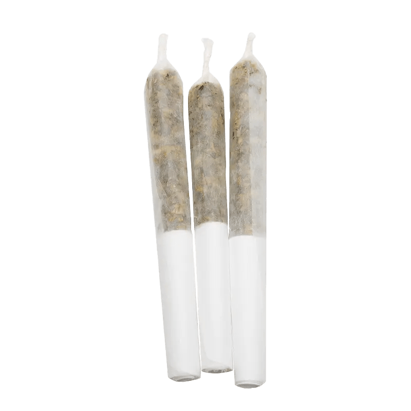 Infused by Lamplighter 1.5 g Pineapple Coconut Infused PR 3 x 0.5 g Infused Pre-Rolls