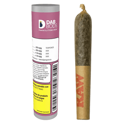 Dab Bods 0.7 g Infused Pre-Rolls