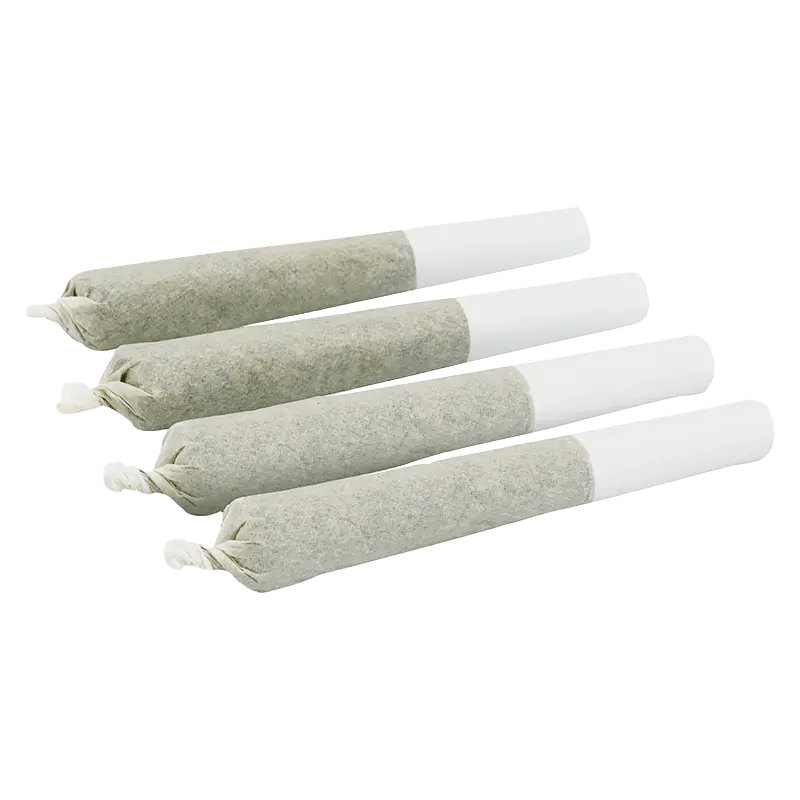 Vacay 4 x 0.5 g Infused Pre-Rolls