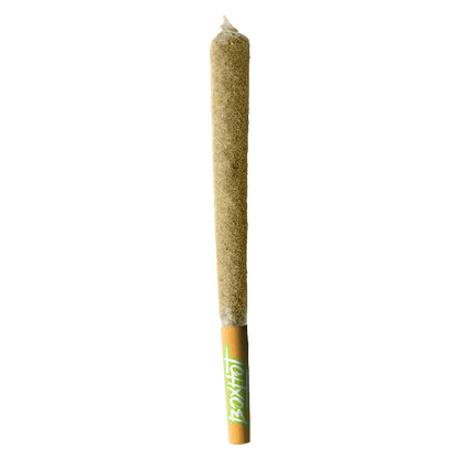 BoxHot 1.2 g Infused Pre-Rolls