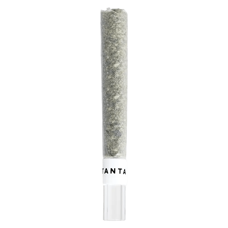 Tantalus 1 g Infused Pre-Rolls