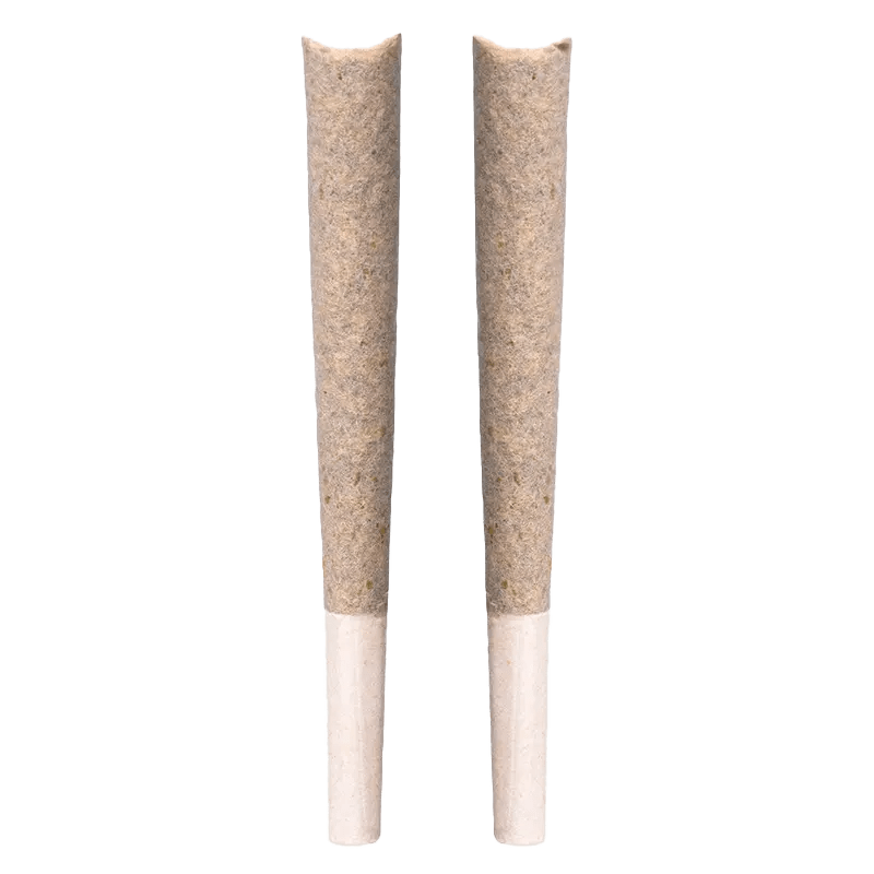 blkmkt 1 g Infused Pre-Rolls