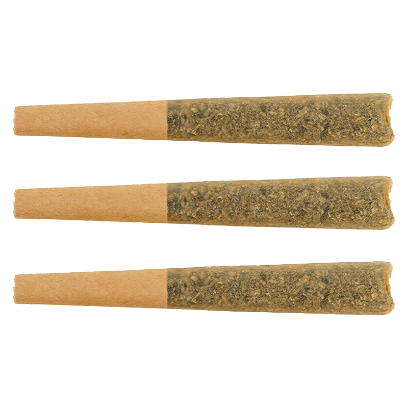 Terp Gush 1.5 g Raspberry Guava Glto Infused PR 3 x 0.5 g Infused Pre-Rolls