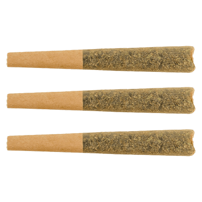 Terp Gush 1.5 g Raspberry Guava Glto Infused PR 3 x 0.5 g Infused Pre-Rolls