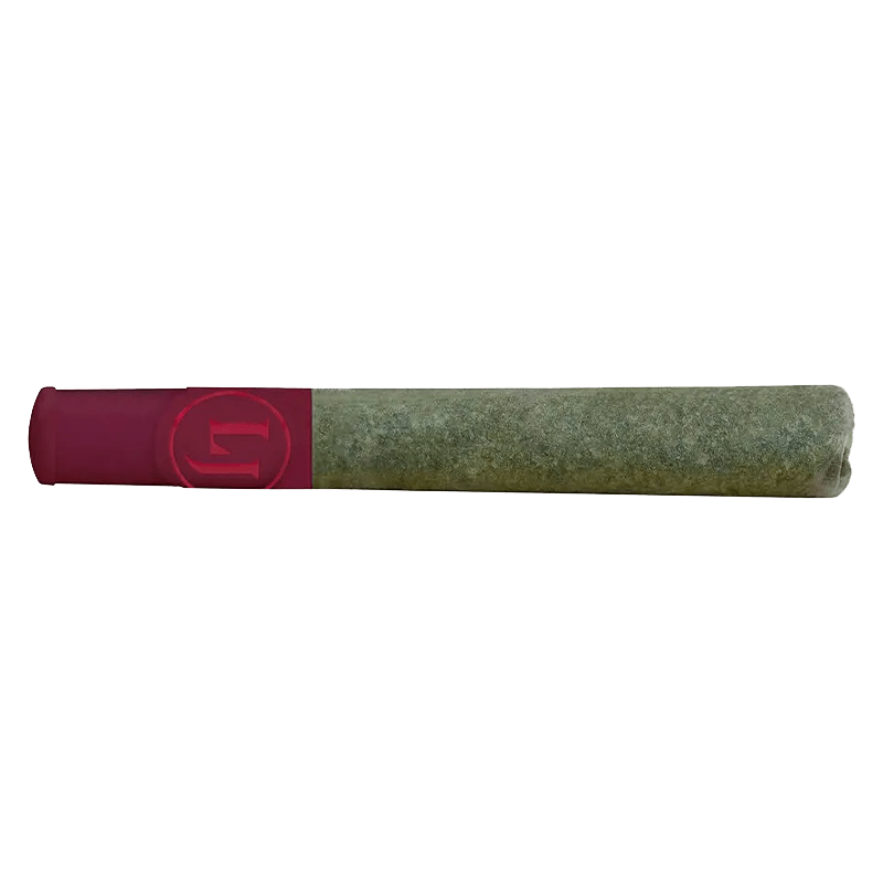 Lord Jones 1 g Infused Pre-Rolls