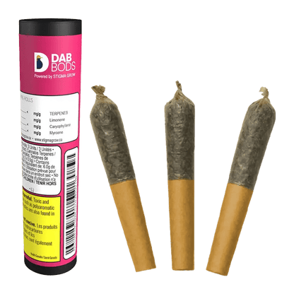 Dab Bods 1.5 g Hawaiian Plushers Dbl Infused PR 3 x 0.5 g Infused Pre-Rolls