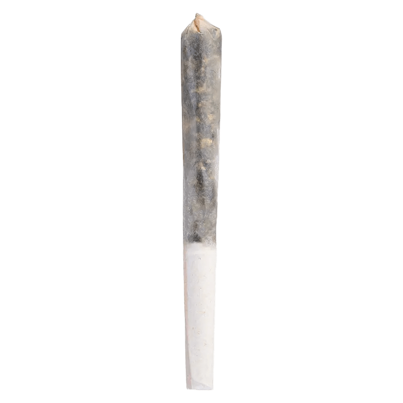 Tenzo 0.5 g Infused Pre-Rolls