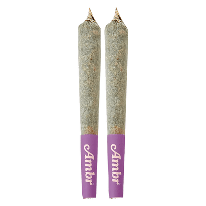 Ambr 2 g Infused Pre-Rolls