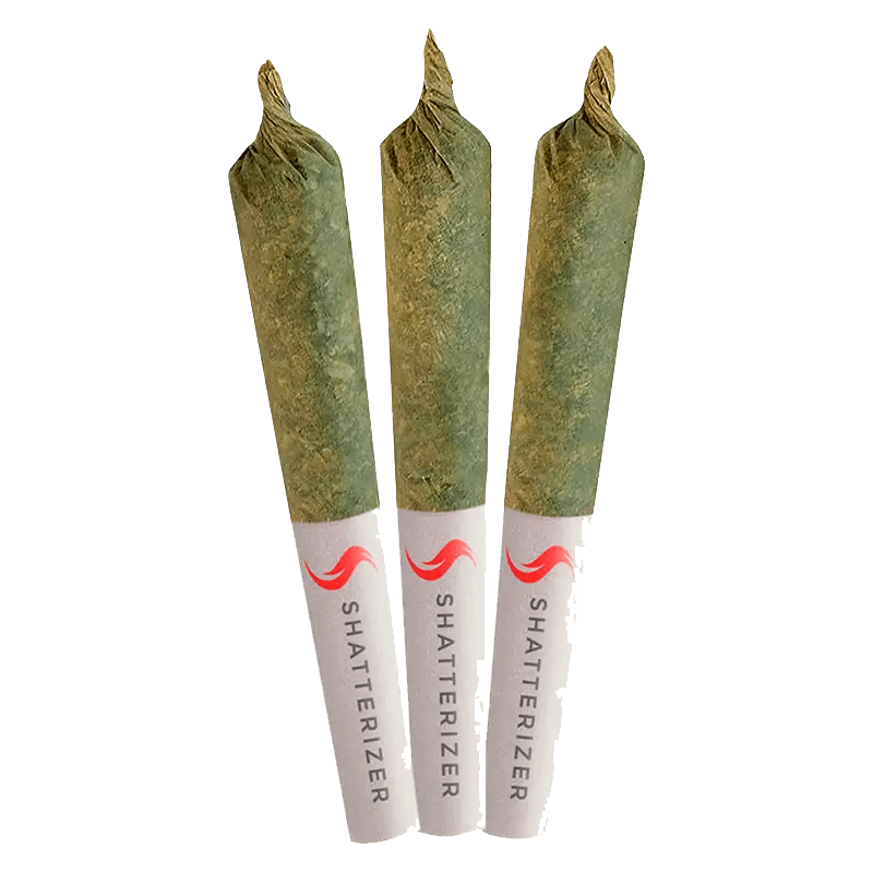 Shatterizer 1.5  g Infused Pre-Rolls