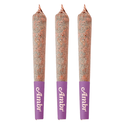 Ambr 1.5 g Infused Pre-Rolls