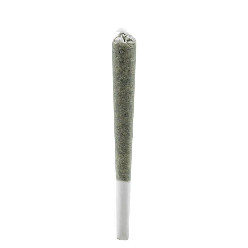 A close-up, angled view of the BC Organic Fire OG Rosin Infused Pre Rolled 1 x 0.5 g, highlighting its rolled paper and greenish hue.