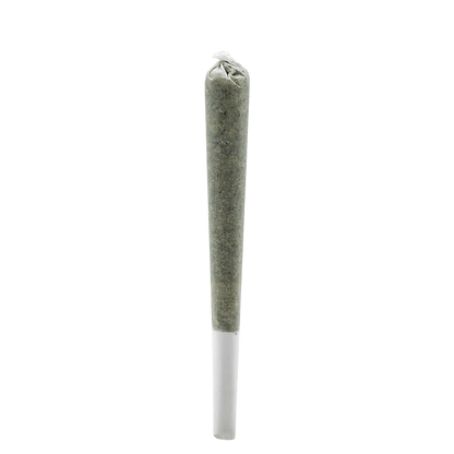 A close-up, angled view of the BC Organic Fire OG Rosin Infused Pre Rolled 1 x 0.5 g, highlighting its rolled paper and greenish hue.