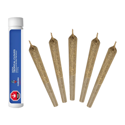 Cabana Cannabis Co. 2.5 g Tropical Clouds Distillate Infused Pre-Rolls - 2.5g, Sativa Pre-Rolls