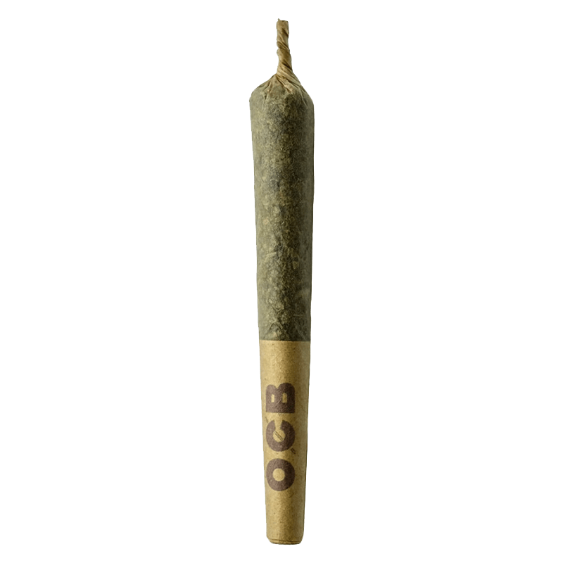 Close-up of the Dubb Bubbs Cured Resin Infused Pre Rolled 3 x 0.5 g, displaying its twisted, slightly translucent green form against a plain white background.