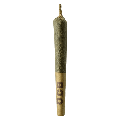 Close-up of the Dubb Bubbs Cured Resin Infused Pre Rolled 3 x 0.5 g, displaying its twisted, slightly translucent green form against a plain white background.