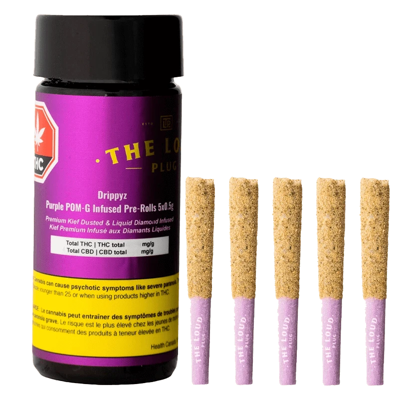 The Loud Plug 2.5 g Drippyz Purple Pom-G Infused PR 5 x 0.5 g Pre-Rolls