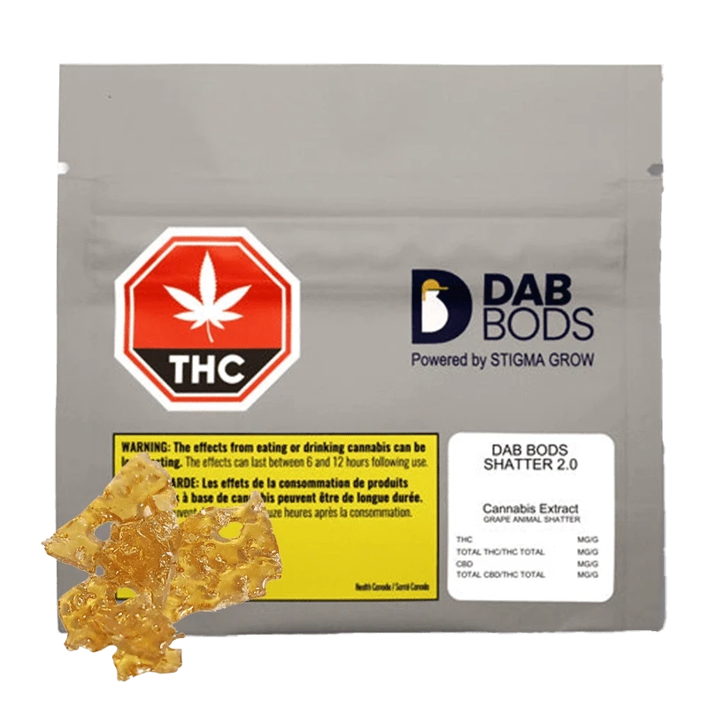 Close-up of Grape Animal Shatter 2.0, a translucent, amber-colored concentrate against a dark background.