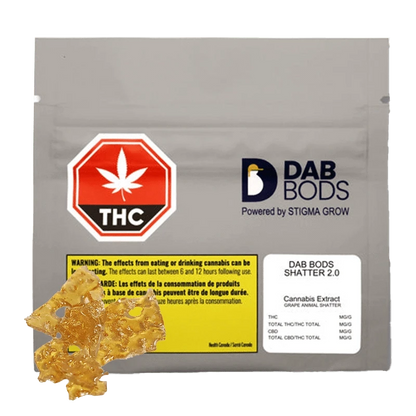 Close-up of Grape Animal Shatter 2.0, a translucent, amber-colored concentrate against a dark background.