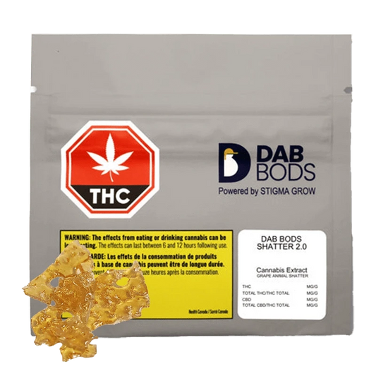 Close-up of Grape Animal Shatter 2.0, a translucent, amber-colored concentrate against a dark background.