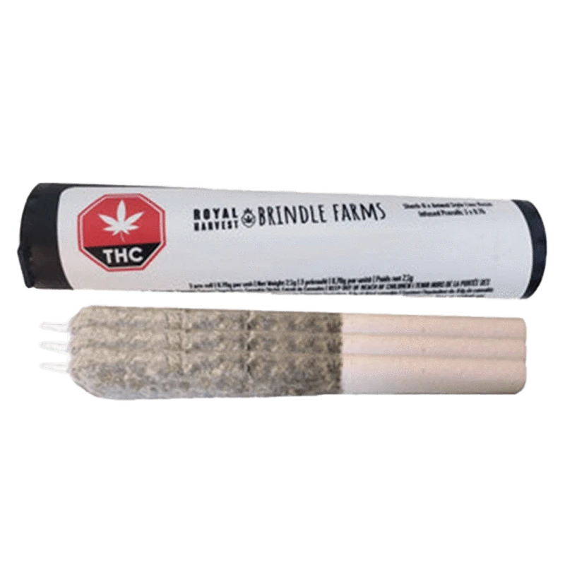 Close-up of the Sherbo x Animal Style Live Rosin Infused Pre Rolled 3 x 0.7 g, showing its packaging against a plain white background.