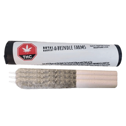 Close-up of the Sherbo x Animal Style Live Rosin Infused Pre Rolled 3 x 0.7 g, showing its packaging against a plain white background.