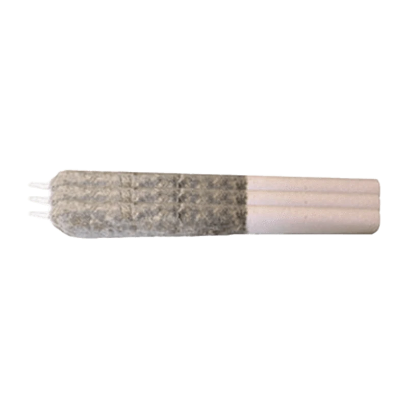 Front view of the Sherbo x Animal Style Live Rosin Infused Pre Rolled 3 x 0.7 g, showing a cylindrical, tan-colored cannabis roll.