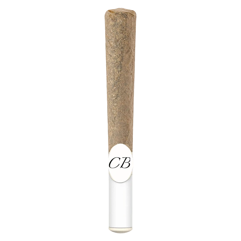 Front view of the Water Hash Infused Whole Flower Pre Rolled 1 x 1 g, showing a pre-rolled joint against a plain white backdrop.