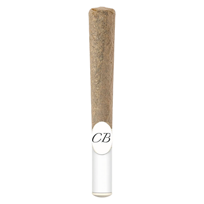 Front view of the Water Hash Infused Whole Flower Pre Rolled 1 x 1 g, showing a pre-rolled joint against a plain white backdrop.