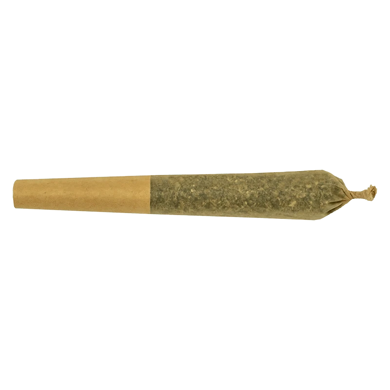A close-up side view of the Jack Haze Lr Infused Pre Rolled 3 x 0.5 g, showcasing its rolled texture and natural color.