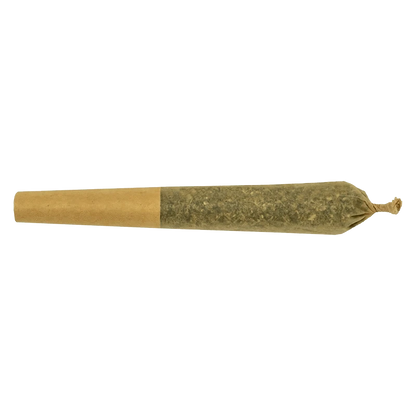 A close-up side view of the Jack Haze Lr Infused Pre Rolled 3 x 0.5 g, showcasing its rolled texture and natural color.