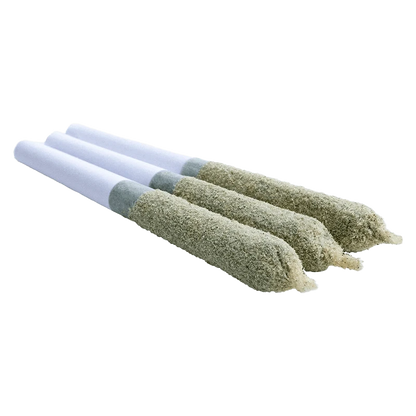 A close-up view of three Shark Bite Toasters Infused Pre Rolled 0.5 g joints, angled slightly against a plain white background.