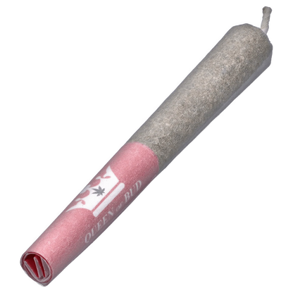 Queen Of Bud 3 g Red Jasper Infused PR 6 x 0.5 g Infused Pre-Rolls