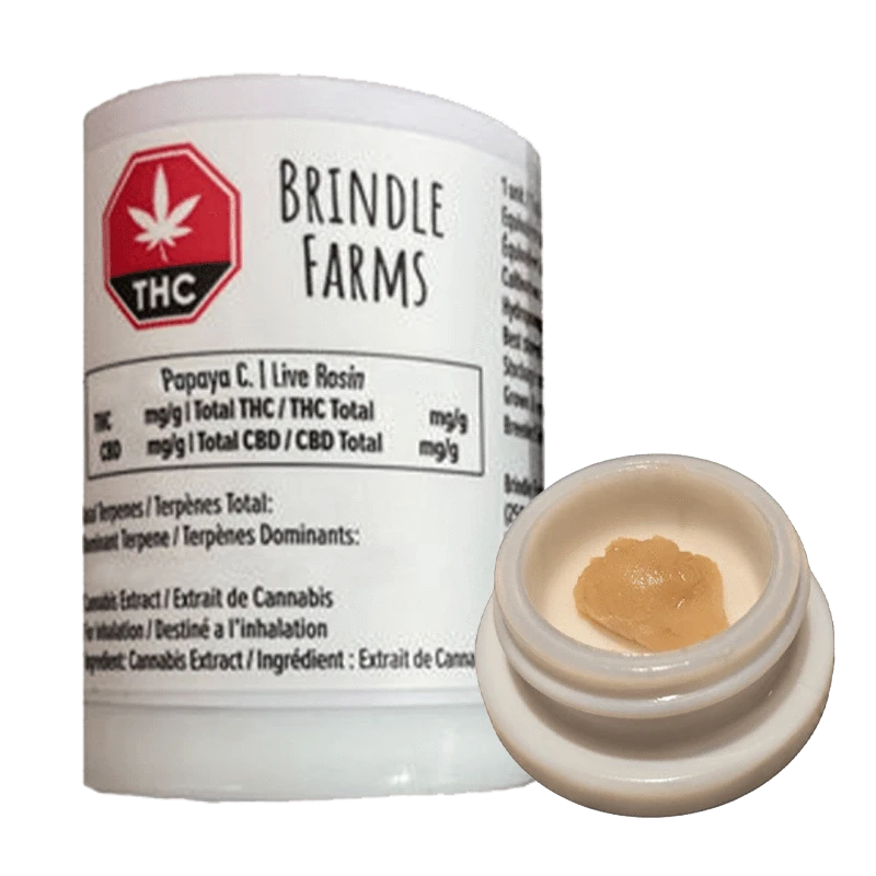 Close-up of Brindle Farms Papaya C. Live Rosin, a golden, viscous substance displayed in a clear container.